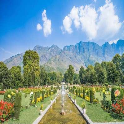 Tulip Festival Sightseeing